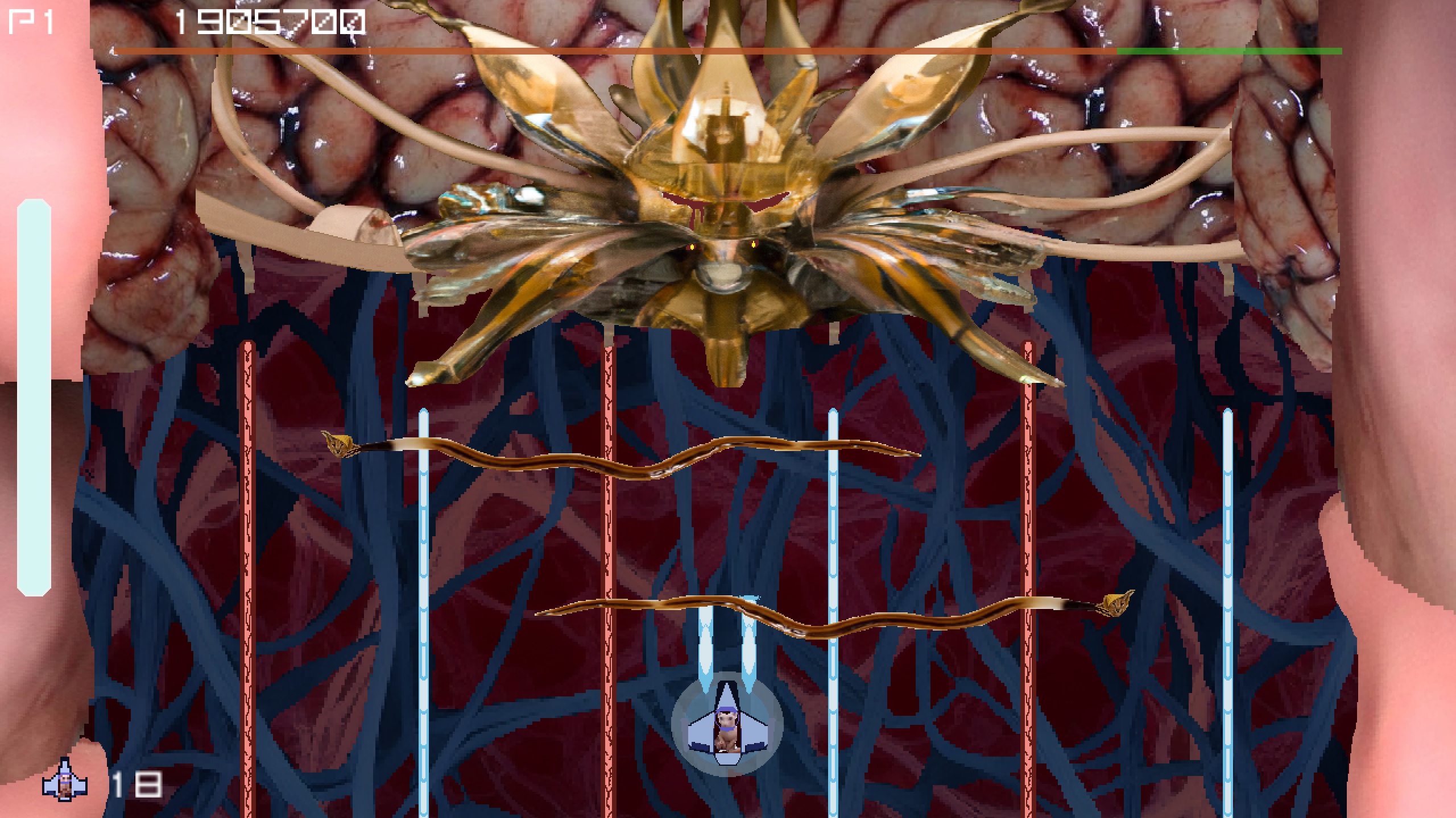 Bingus Final Boss Image