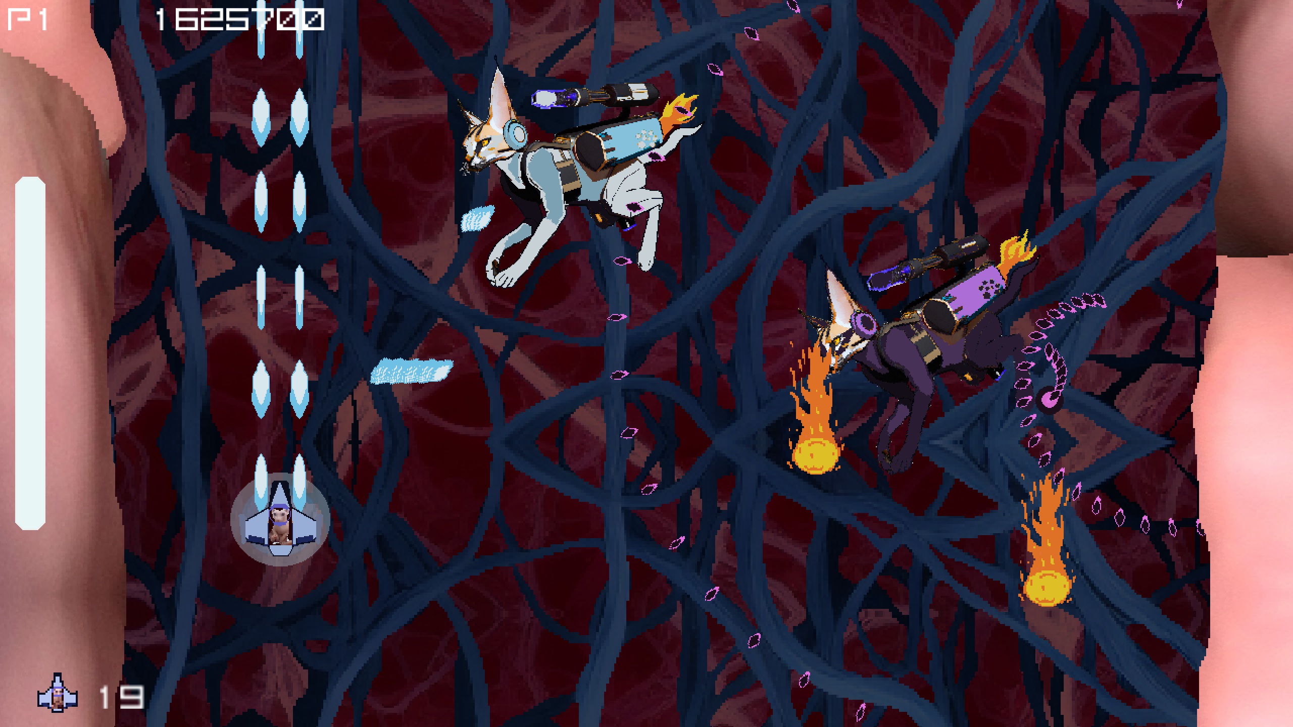 Bingus Level 7 Image